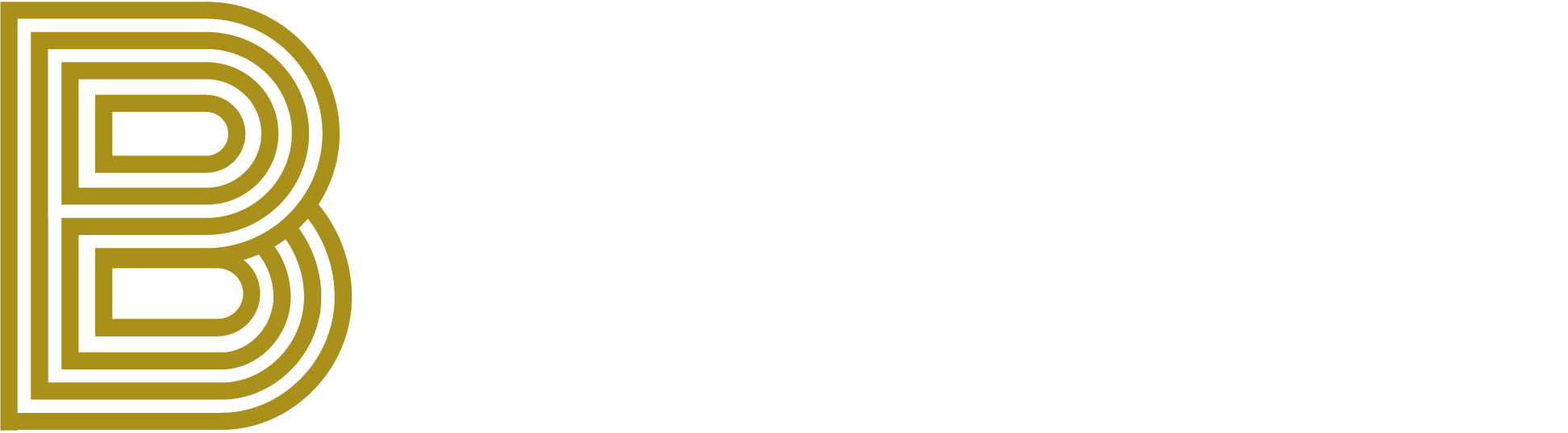 Bold Wealt Management Logo
